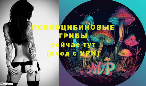 прущая мука Михайлов