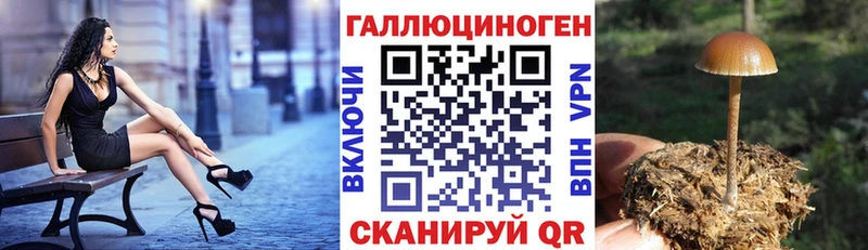 Псилоцибиновые грибы Psilocybine cubensis  купить наркотики цена  Нытва 