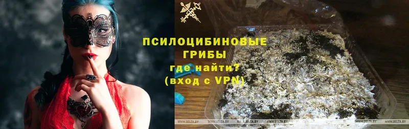 Галлюциногенные грибы GOLDEN TEACHER  Нытва 